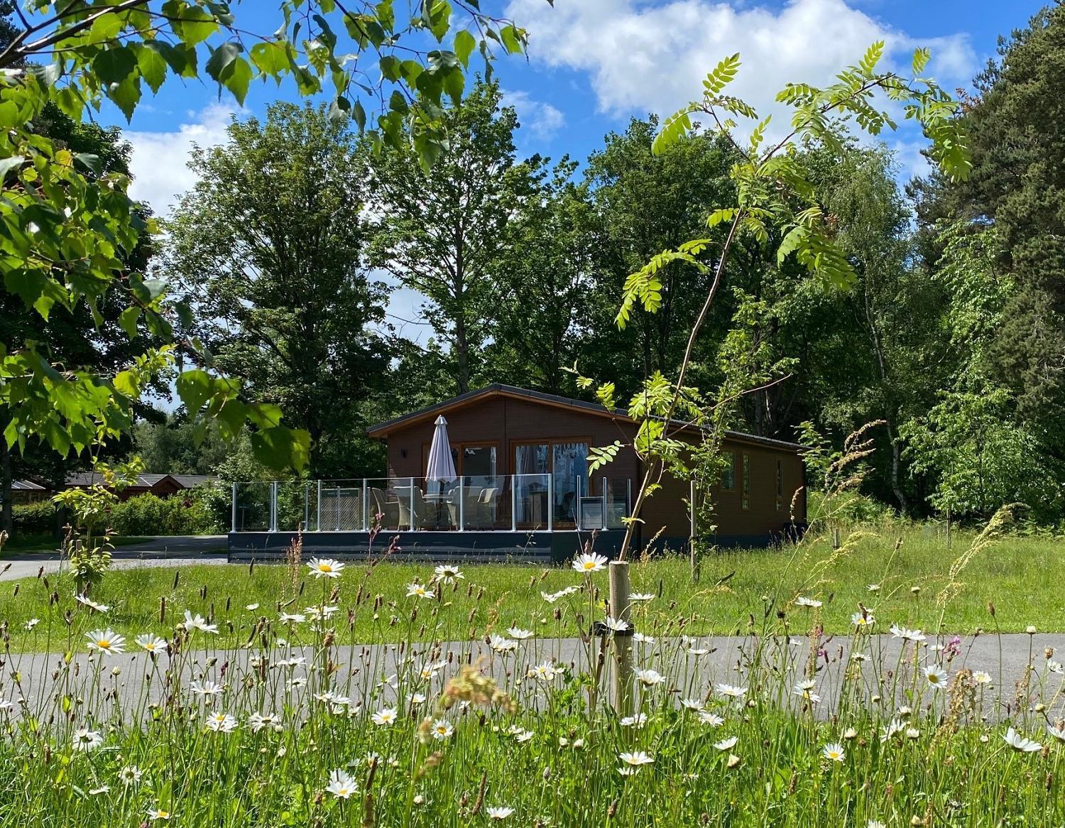 Hollicarrs - Honeycomb Lodge York Exterior photo